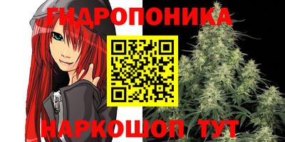 прущие крисы Будённовск