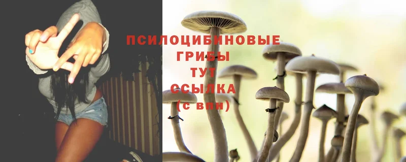 наркошоп  кракен зеркало  Галлюциногенные грибы MAGIC MUSHROOMS  Великие Луки 