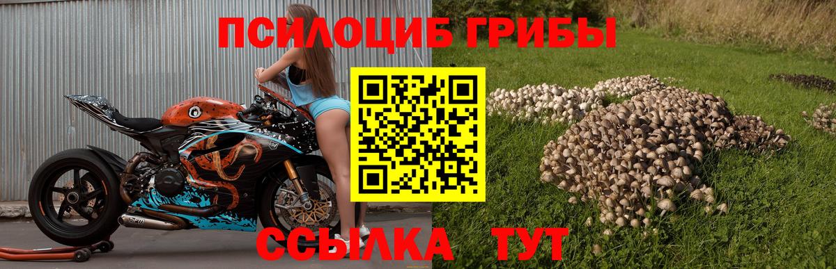 Галлюциногенные грибы MAGIC MUSHROOMS  Псилоцибиновые грибы Cubensis  Вход с VPN  Великие Луки 