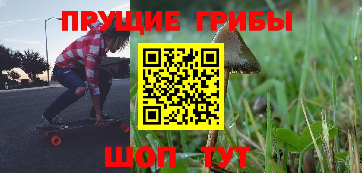 Галлюциногенные грибы Psilocybe Великие Луки