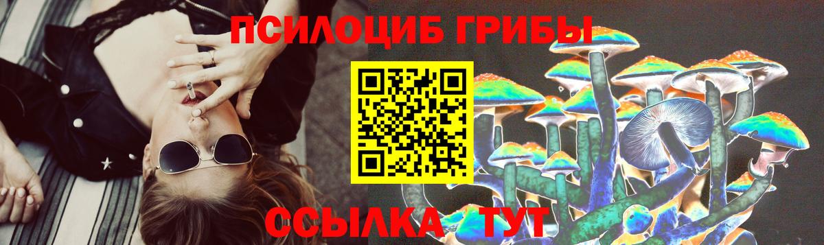 Галлюциногенные грибы MAGIC MUSHROOMS  Великие Луки  Галлюциногенные грибы Psilocybine cubensis 